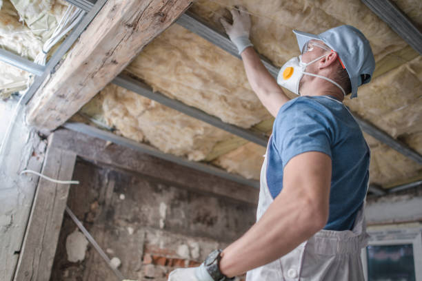 Best Insulation Maintenance and Repair in Bellport, NY